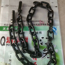 供應(yīng)山東河道護(hù)欄鏈條廠家直銷/高硬度護(hù)欄鏈條條訂購(gòu)采購(gòu)報(bào)價(jià)批發(fā)價(jià)格/臨沂圍欄鏈條供應(yīng)商質(zhì)量哪家好