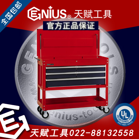 加拿大天賦工具5抽屜工具車TS-768 Genius 022-88132558