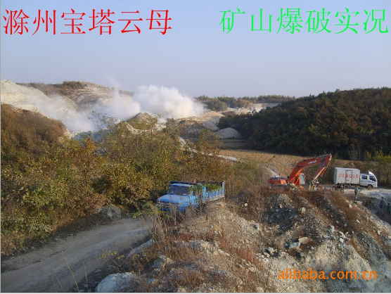 供應(yīng)：干法絹云母粉150目----2000目，濕法400目---1250目，干法絹云母粉價(jià)格，干法絹云母粉價(jià)格哪家好