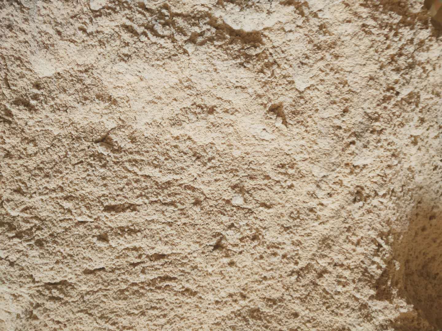 大米糠，畜禽飼料，豬，牛羊，雞，