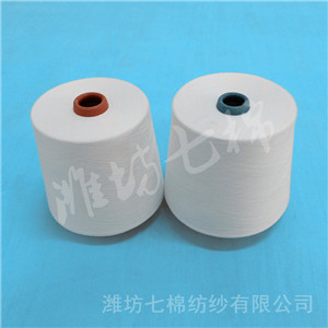 阻燃滌綸紗6.5支10支12支