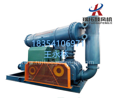 生產(chǎn)魯氏風(fēng)機(jī)的廠(chǎng)家