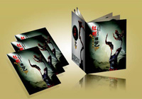 海口印刷畫冊生產(chǎn)廠家直銷價格火熱銷售 企業(yè)畫冊精美樓書定制