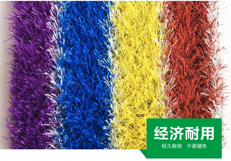 河北彩虹草種植，河北彩虹草批發(fā)商，河北彩虹草價(jià)格