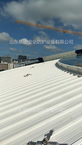 鋼結(jié)構(gòu)屋面防墜落材料 墜落防護(hù)材 鋼結(jié)構(gòu)屋面防墜落材料墜落防護(hù)材