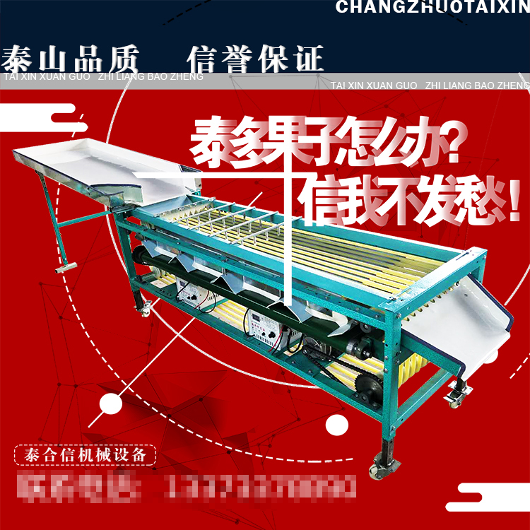 泰信牌無(wú)核橙橙子基礎(chǔ)款分級(jí)機(jī) 分選機(jī) 果蔬分大分級(jí)精準(zhǔn)效率高