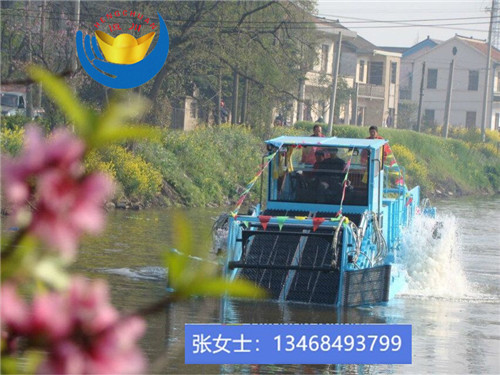 供應(yīng) 全自動(dòng)割草船 水草收割船工廠