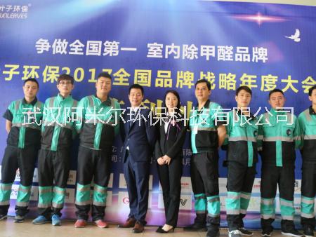 武漢*除甲醛，新房裝修除異