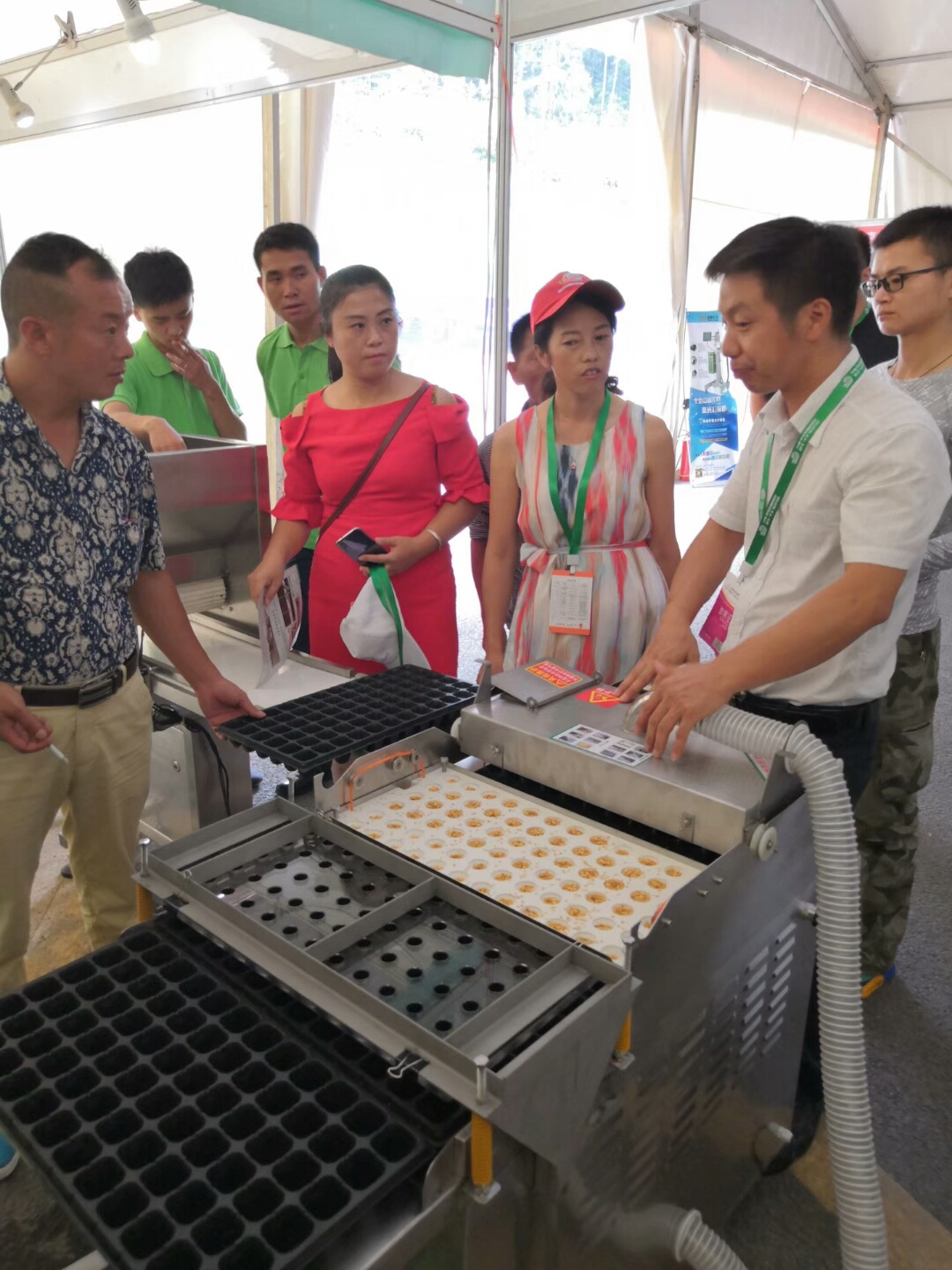 棉花播種機(jī) 穴盤播種機(jī) 育苗播種機(jī)--常州風(fēng)雷