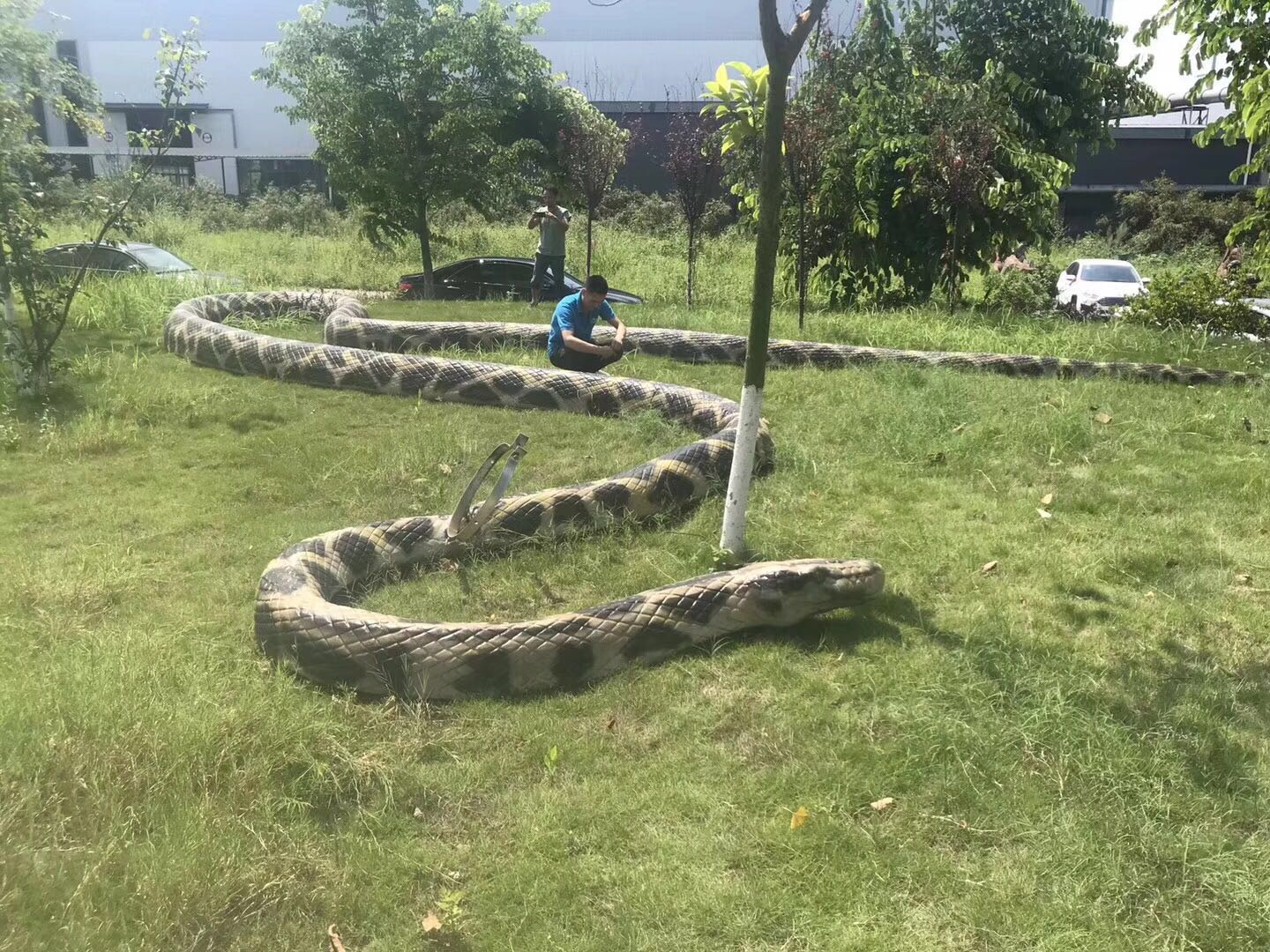 仿真恐龍廠家價格 恐龍跑跑車