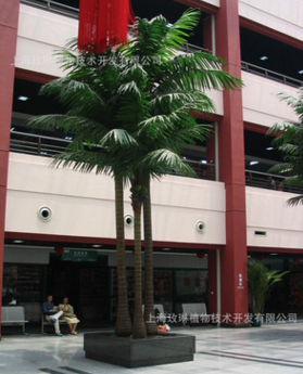 上海仿真椰子樹廠家直銷 上海仿真椰子樹工廠 仿真椰子樹供應(yīng)商 上海仿真椰子樹價(jià)格