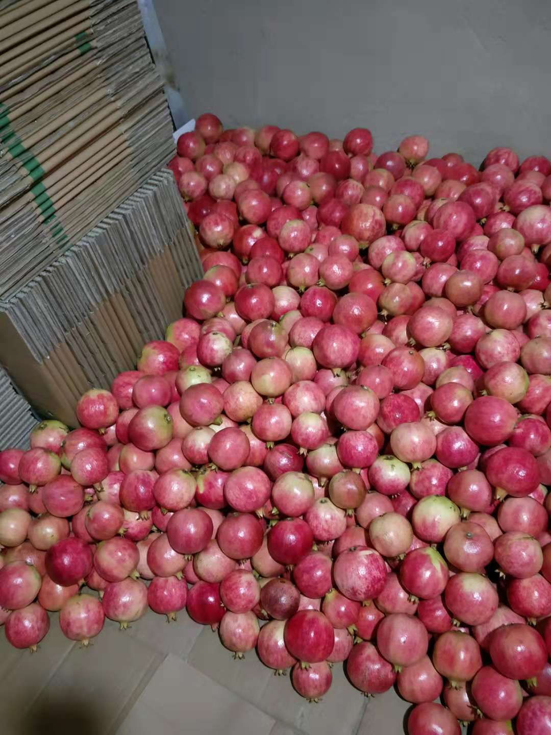 軟籽石榴的功效與作用