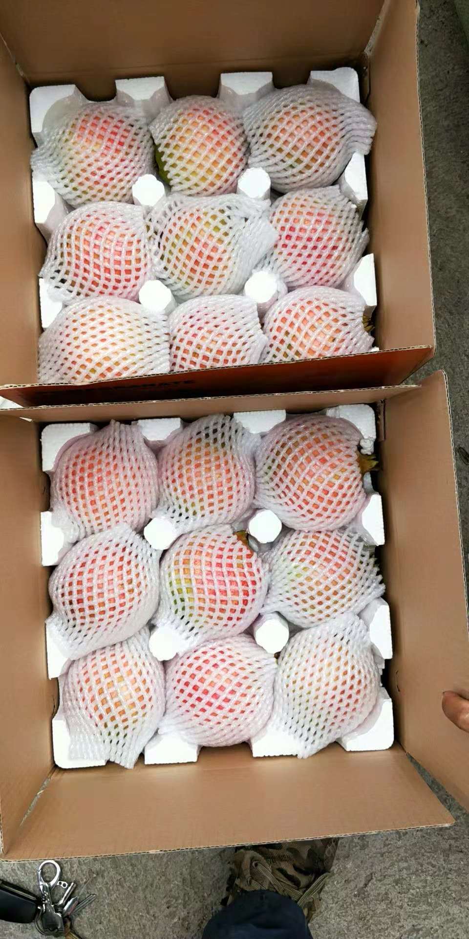 軟籽石榴的功效與作用