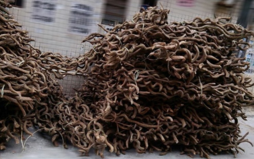 過江龍?zhí)贄l批發(fā) 2米山藤工藝品 婚慶仿真植物布置 店面插花軟裝設(shè)計 供應(yīng)過江龍?zhí)贄l