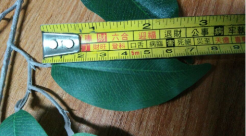 供應(yīng)防火阻燃榕樹葉 直銷防火阻燃榕樹葉 防火阻燃榕樹葉報(bào)價(jià) 防火阻燃榕樹葉批發(fā) 仿真植物