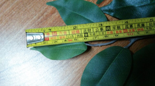 供應(yīng)防火阻燃榕樹葉 直銷防火阻燃榕樹葉 防火阻燃榕樹葉報(bào)價(jià) 防火阻燃榕樹葉批發(fā) 仿真植物