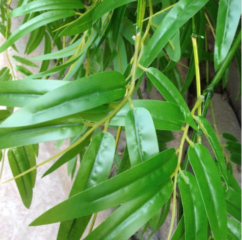 供應(yīng)園林造景假竹 直銷園林造景假竹 園林造景假竹廠家 仿真竹子廠家 綠植假竹子