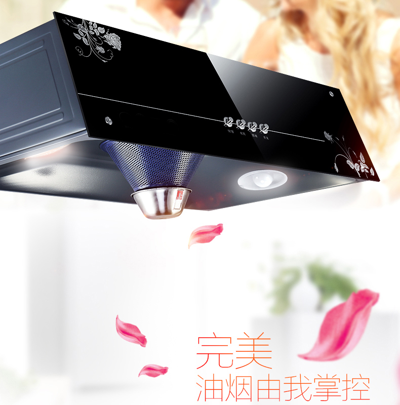 家用老式吸抽油煙機(jī) 壁掛式頂吸式中式大吸力小型廠家直銷