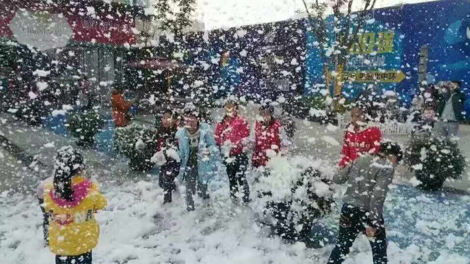 佛山專業(yè)廠家生產(chǎn)租賃大型飄雪機(jī)雪花機(jī)， 大型雪花機(jī)出租