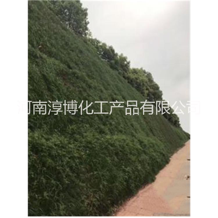 礦山*綠化噴播生態(tài)修復(fù)廠家 技術(shù)支持 廠家現(xiàn)貨