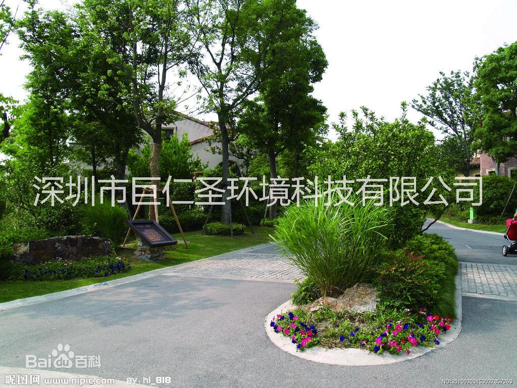 綠色園中找蟲蟻其中跑巨仁圣環(huán)境公司來滅蚤 巨仁圣環(huán)境公司園林消毒殺蟲