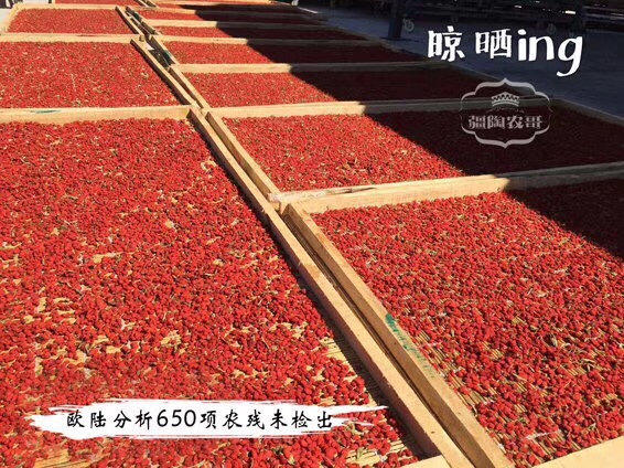 新疆精河紅枸杞王免洗紅枸杞子  枸杞子新疆特產(chǎn)  紅枸杞王