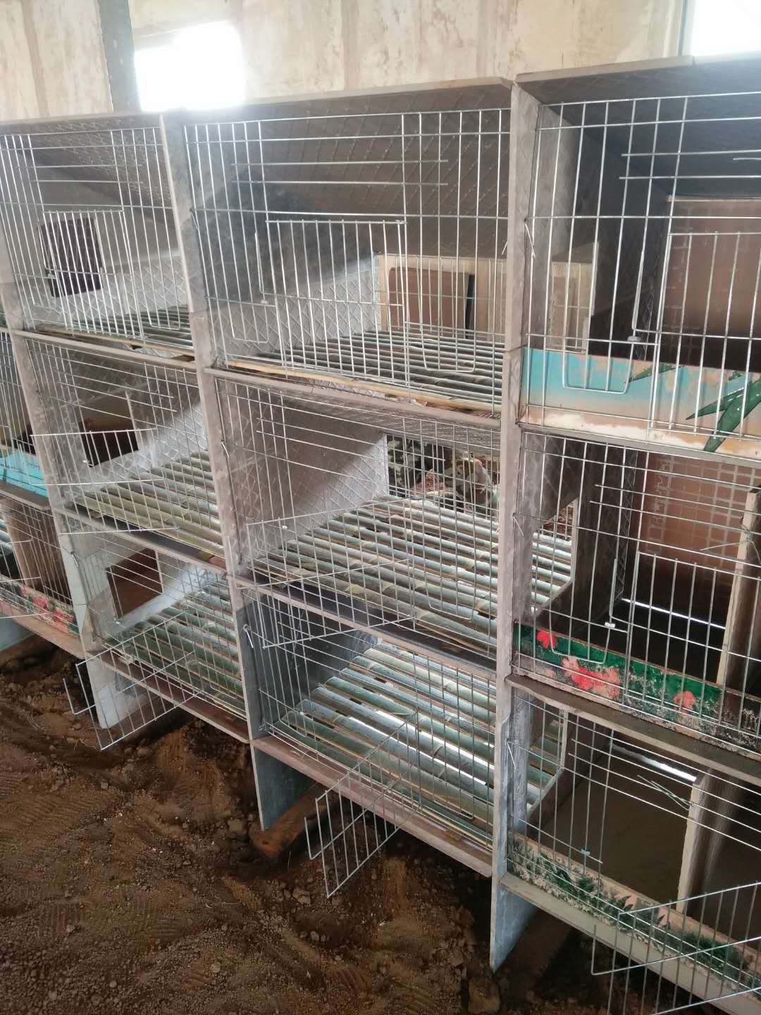 四川哪里有好的瓷磚兔籠