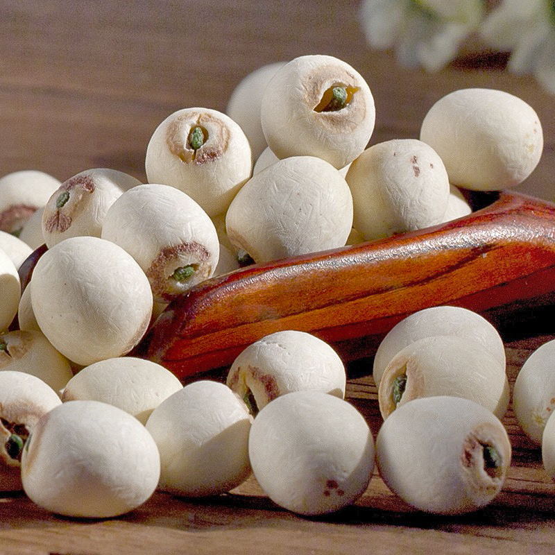 帶芯實心磨皮白蓮子 圓粒湘蓮 尚品蓮皇產(chǎn)地批發(fā)供應(yīng)