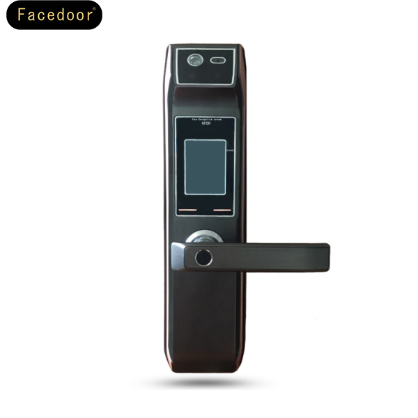 Face door人臉識(shí)別家用防盜智能鎖
