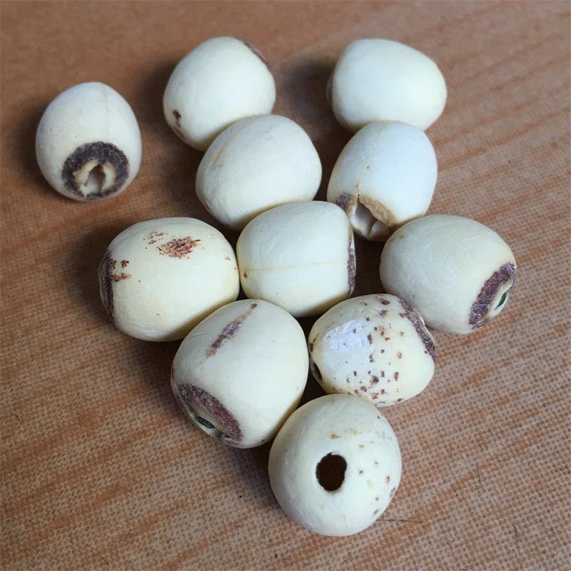 磨皮白蓮子去芯無(wú)心通心 圓粒湘蓮 尚品蓮皇產(chǎn)地批發(fā)供應(yīng)