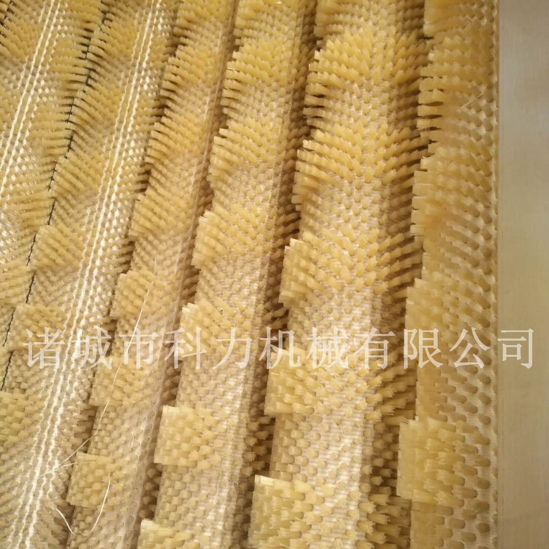 蔬菜清洗機(jī)去皮去泥清洗設(shè)備毛輥