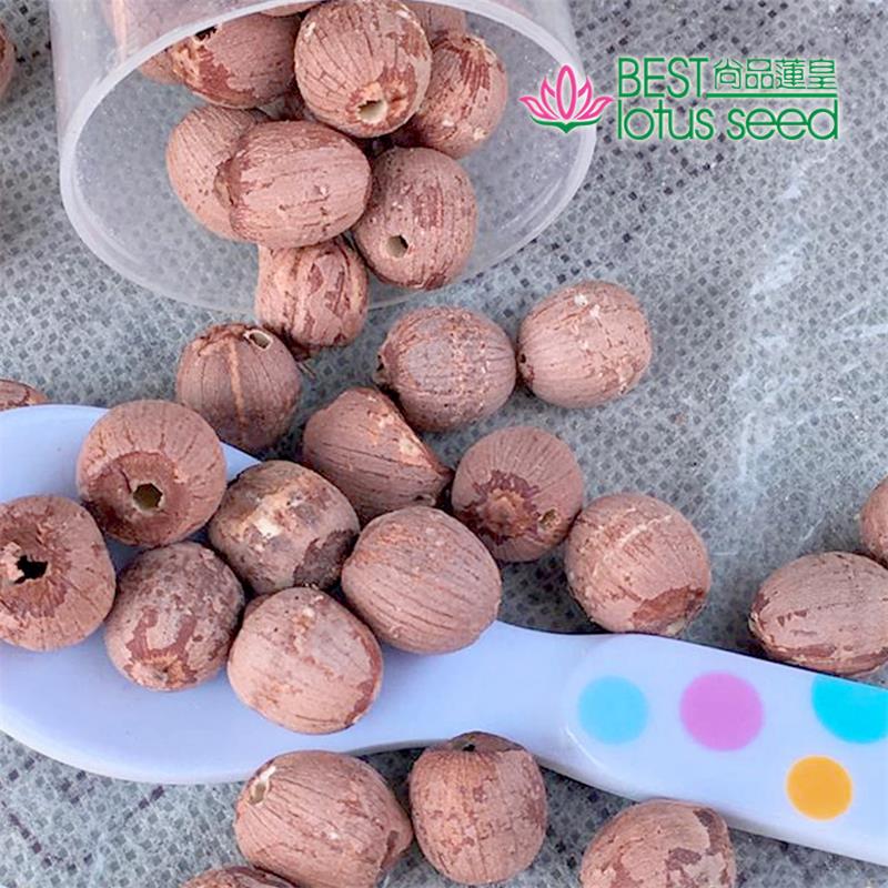 無(wú)心去芯鉆心通心紅蓮子 圓粒湘蓮 尚品蓮皇產(chǎn)地批發(fā)