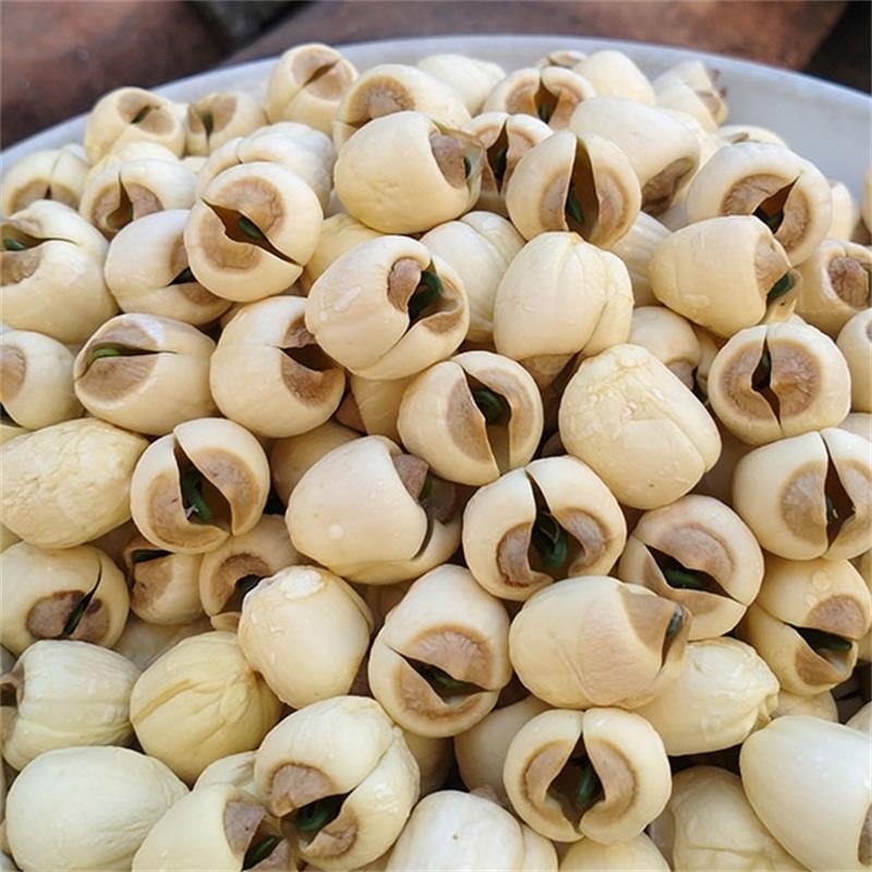 帶芯實心手工白蓮子 圓粒湘蓮 尚品蓮皇產(chǎn)地批發(fā)供應(yīng)