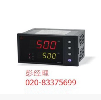 SWP-G801-00-12-N溫控儀 SWP溫度儀