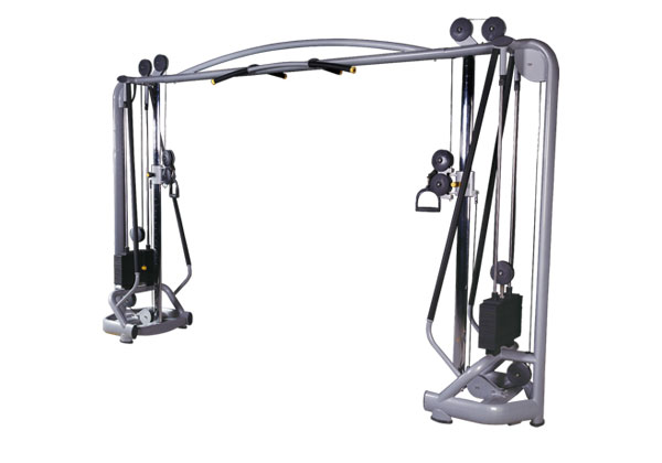 大飛鳥訓練器，山東專業(yè)生產(chǎn)大飛鳥訓練器，大飛鳥訓練器價格