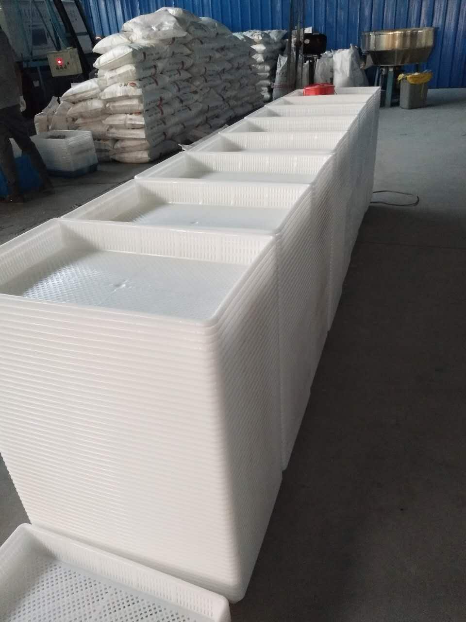 山東塑料冷凍盤 聊城塑料冷凍盤廠家