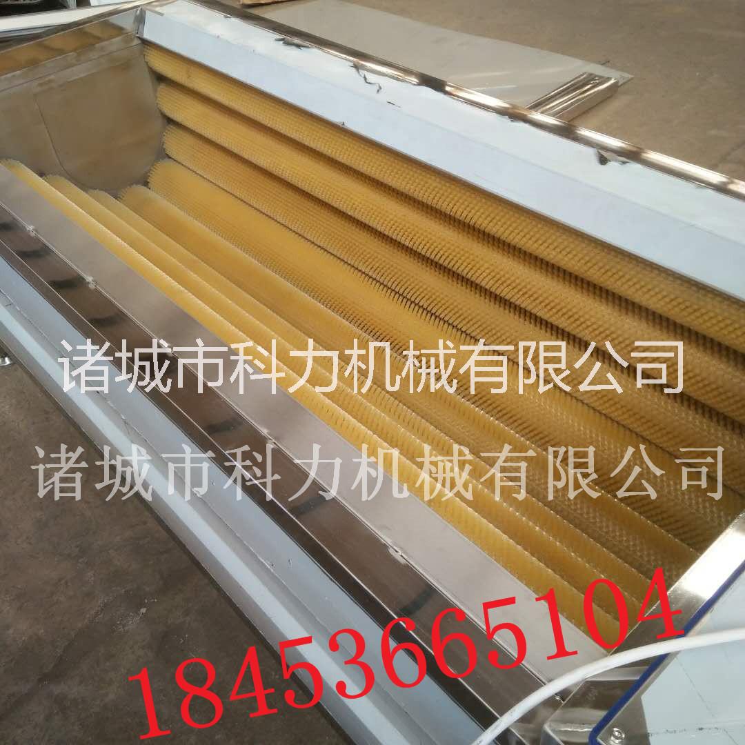蔬菜清洗機(jī)去皮去泥清洗設(shè)備毛輥