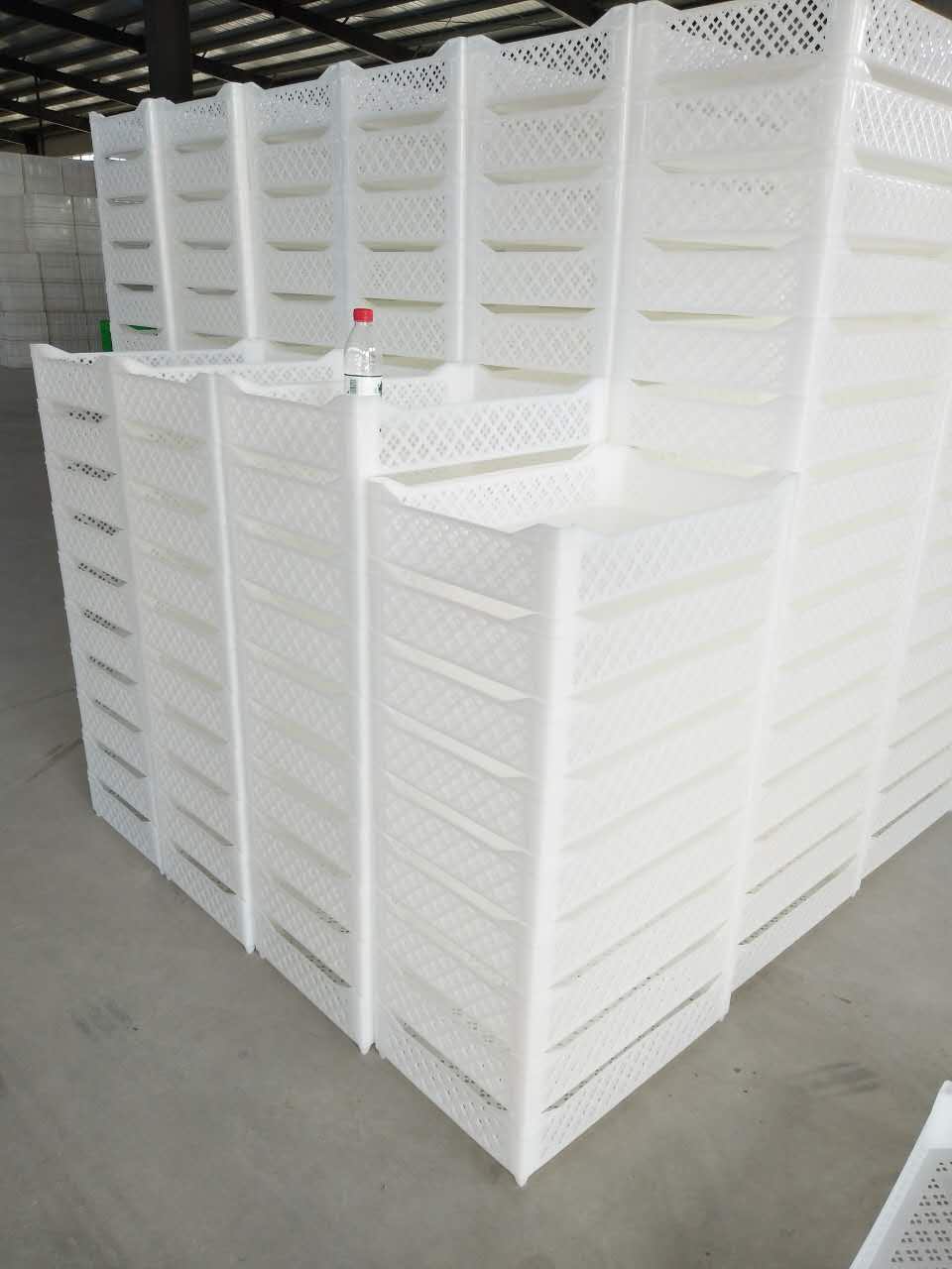 山東塑料冷凍盤 聊城塑料冷凍盤廠家