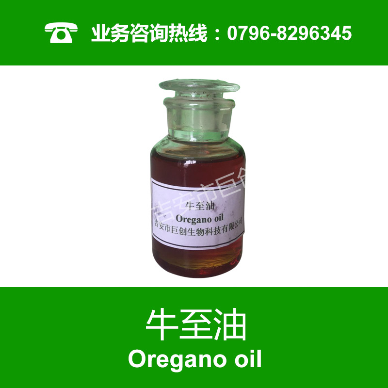 牛至油 天然香料廠家直銷牛至油 牛至精油 香料油 廠家直銷