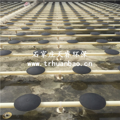 河北張家口三元乙丙橡膠曝氣頭   采用ABS工程塑料為底盤托板布?xì)饽び扇冶z材料制成