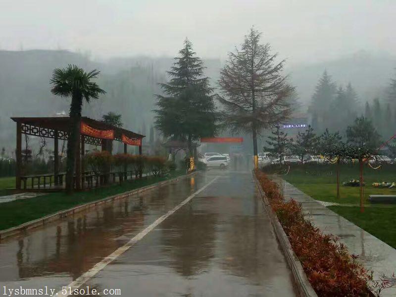 金水河治理看北邙南山變化