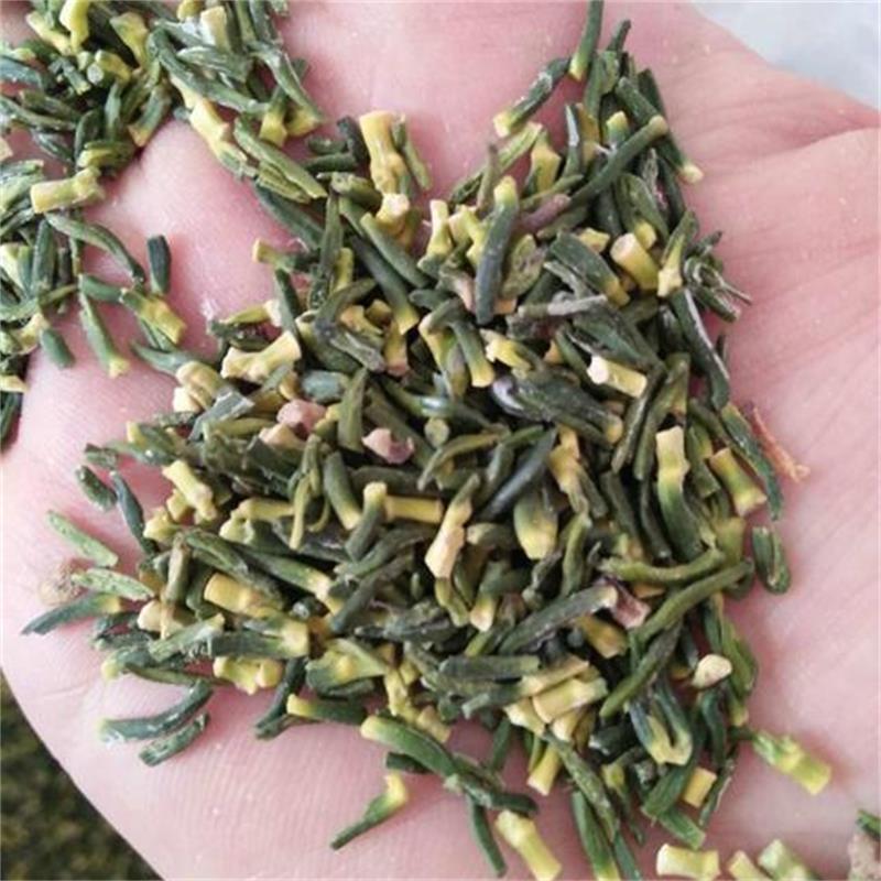 III級(jí)蓮芯蓮子芯茶蓮子心蓮心茶 尚品蓮皇產(chǎn)地批發(fā)供應(yīng)