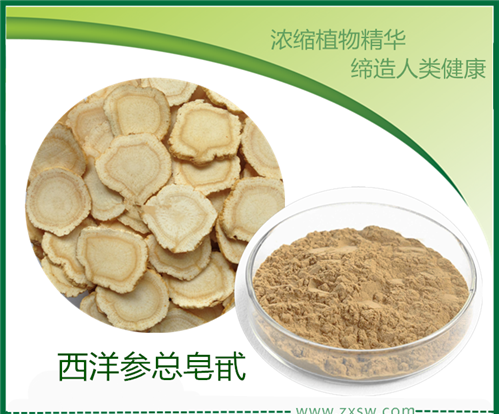 陜西中鑫生物廠家供應(yīng)西洋參10:1提取物 西洋參皂甙
