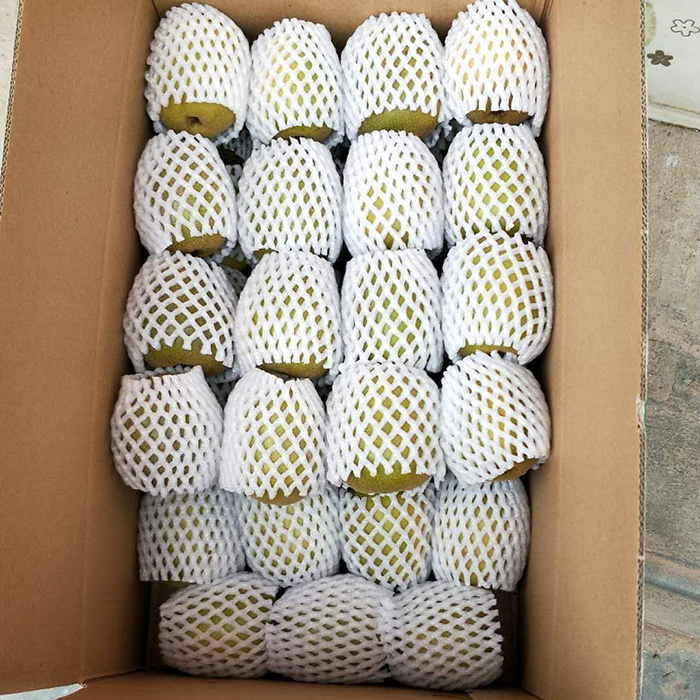 四川蒼溪紅心獼猴桃