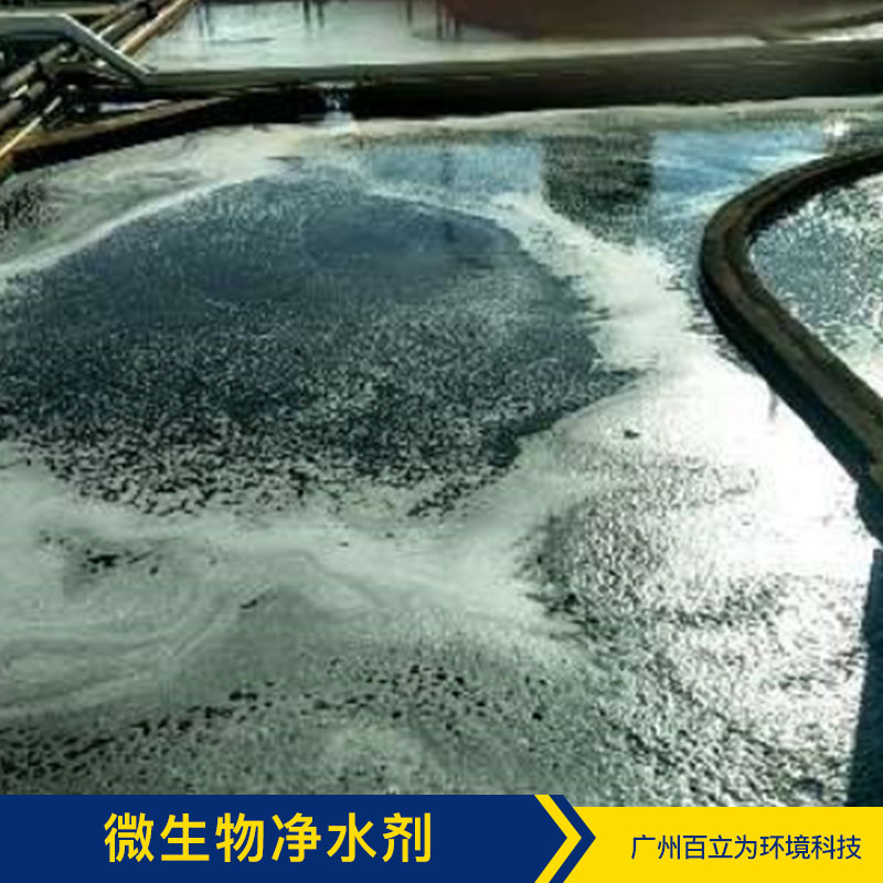 微生物凈水劑 廣州污水凈化方案 污水凈化 污水處理菌 品質(zhì)保證