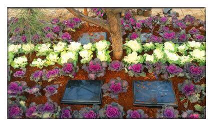 洛陽(yáng)市北邙南山陵園經(jīng)營(yíng)特色 選墓園洛陽(yáng)市北邙南山陵園最可靠 北邙南山陵園24小時(shí)服務(wù)電話(huà)