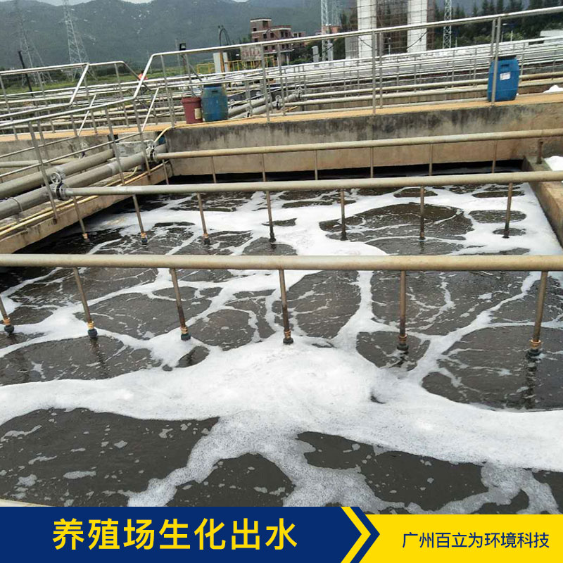 養(yǎng)殖場(chǎng)生化出水 廣州污水凈化方案 污水凈化 污水處理菌 品質(zhì)保證