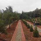 金水河治理看北邙南山變化