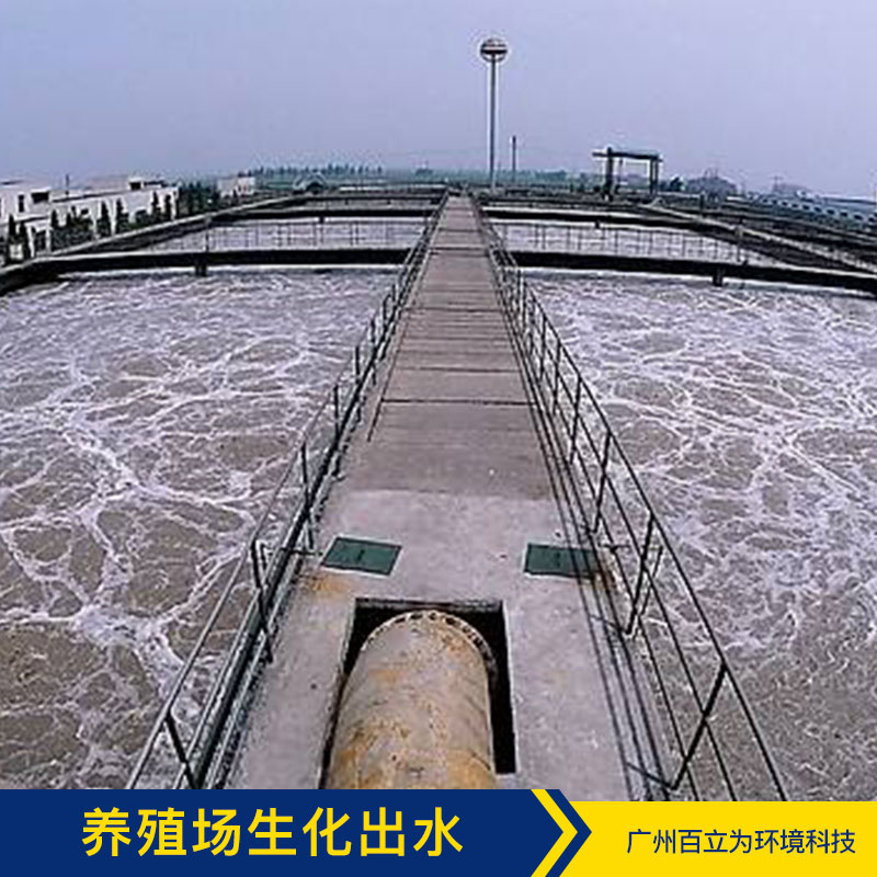 污水處理 廣州污水凈化方案 污水凈化 污水處理菌 品質(zhì)保證