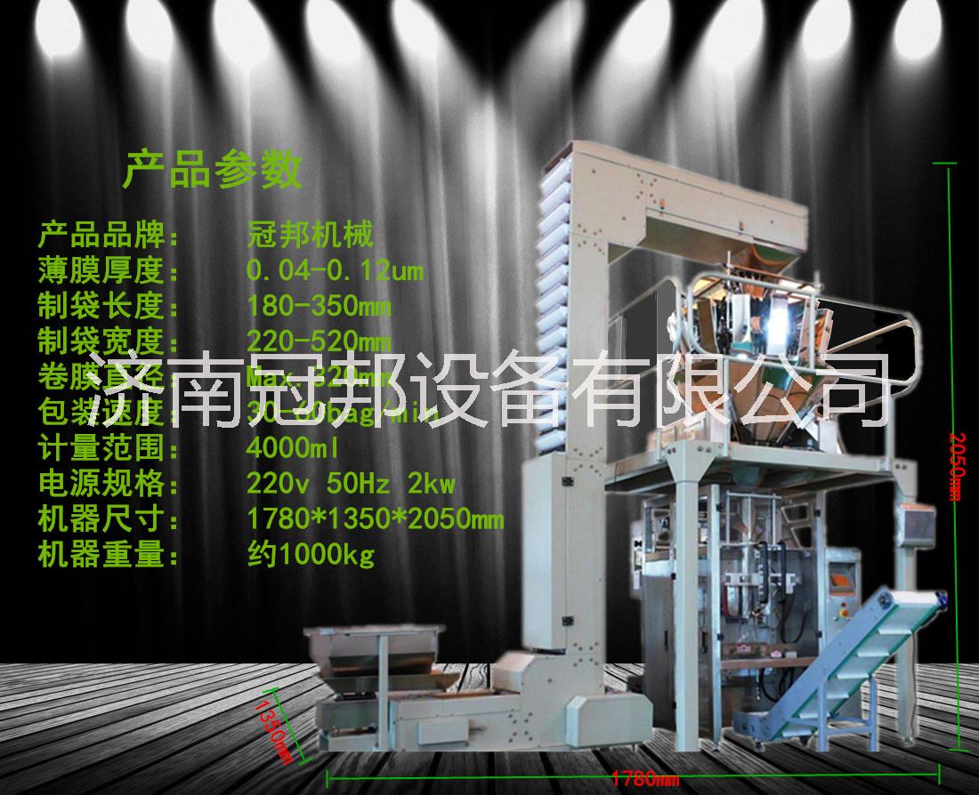濰坊淄博十頭組合秤包裝機(jī)